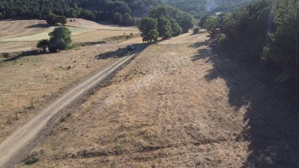 2.267 M2 Resmi Yolu Olan Gölete Yakım Dümdüz Arazi Kaçmaz !
