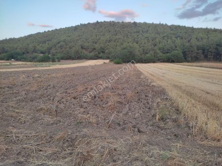 1 Dönüm Resmi Yolu Olan Yatırımlık Merkeze Yakın Arazi Osmnlıdan