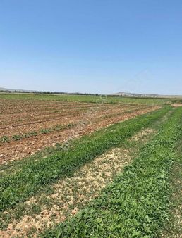 Çayırbağ/ Aliçetinkaya Da Satılık Arazi