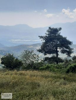 Arsa Mh 823 M2 Tek Tapu Mustakil Arazi