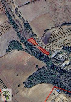 Gölpazarı Çımışkı Da 1750m2 Yollu Harika Arsa