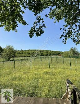 İstanbul Şile Çengilli Mh. Arsa Tapulu Doğa İçinde Harika Yaşam