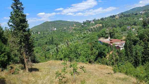 Kocaeli Karamürsel Pazarköy 1.869 M² İmarlı Arsa + 2.883 M² Tarla Tek Parça Satılık