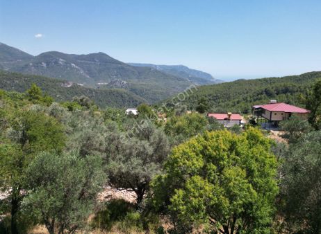 Alanya'da Hobi Bahçesine Uygun Satılık Tarla – 212 M² – Tek Tapu!