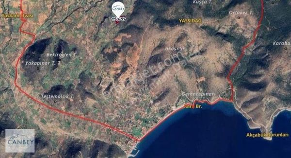 Datça Yaka Kumyer'de 7.706 M2 Yolu Olan Zeytinlik