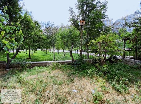 Anadolu'dan Öveçler Vadi Manzaralı Boş Ahmet Haşimde