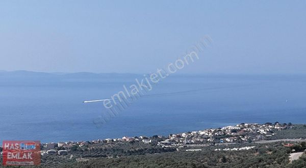 Çanakkale Ayvacık Küçükçetmi Köyünde Denize Cephe Zeytinlik.