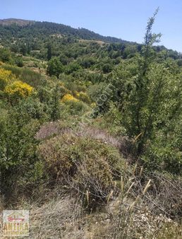 Antika Gayrimenkul'den Ödemiş Çobanlar' Da Satılık Tarla