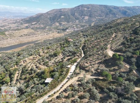 Antika Dan Bademli 5 Tapu Tek Fiyat Büyük İndirim Fırsat