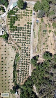 Turyap Bornova'dan Yakaköy'de 9273 M2 Satılık Tarla