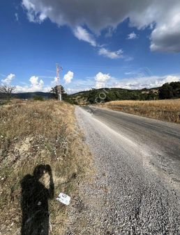 Konteyner Kurulumuna Uygun Yol Kenarı Parsel
