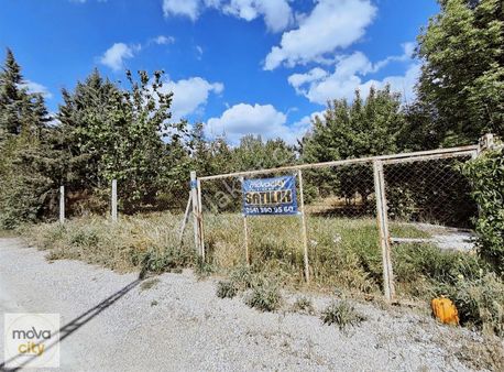 İbrahimçayırı Bağlarında Gözde Konumda Satılık Bağ