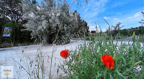 Binevler Ayarık'ta 470 M2 Satılık Villa Arsası
