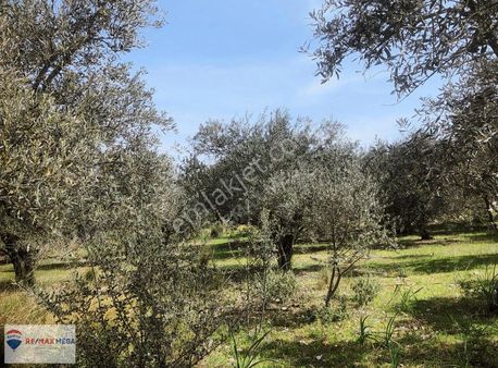 Aksu Kurşunlu'da Yatırım İçin İdeal 2.069 M2 Satılık Tarla