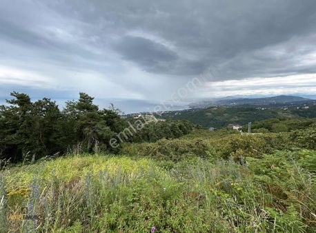 Altın Emlak Trabzon Akçaabatta Satılık 32 Dönüm Fırsat Arazi