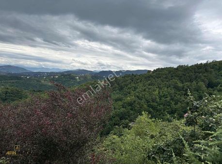 Altın Emlak Trabzon Akçaabat Darıcada Satılık 16 Dönüm Arazi