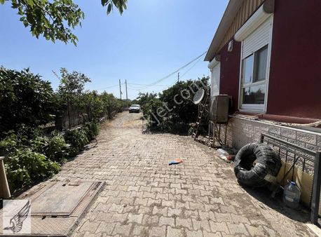 Sığacık Yolu Üzerinde 4.800m² Mandalina Bahçesi Ve Ruhsatlı Ev