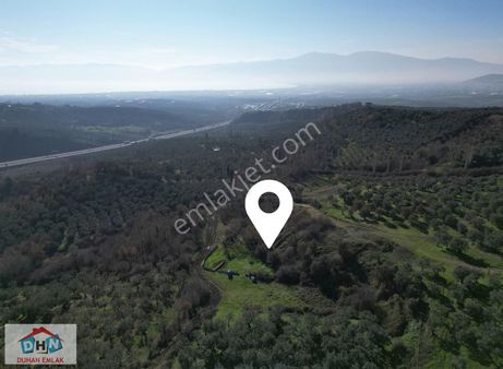 Duhan Emlak'tan Ortaköy'de Köy İçine Yakın 2.037m2 Tarla