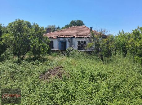 Nysa Emlak'tan 2 Tane Eski Yapı Bulunan Satılık Hisseli Tarla