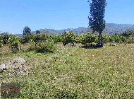 Nysa Emlak Tan Okçular Mh De 1.500 M2 Satılık Arsa