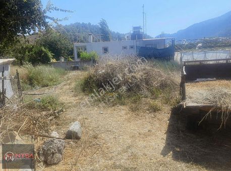 Dereköy Mh 4.825 M2 Şahsi Tapu Cinsi Tarla Ve Narinciye Bahçesi