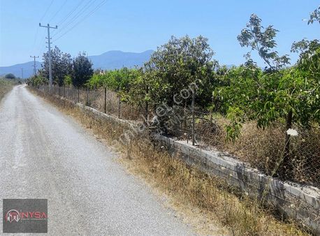Nysa Emlak Tan Eskiköy Mh Satılık Şahsi Tapu Narinciye Bahçesi