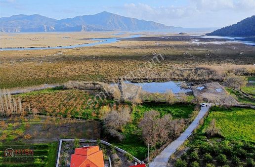 Nysa Emlak Tan Köyceğiz Çandır Mh Satılık Şahsi Tapu Arazi