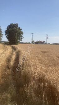 Parsele Uygun Köy Girişi Tarla