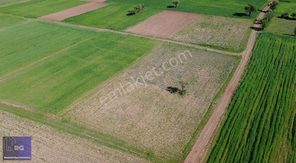 Başkent Gayrimenkul'den Acıpayam Alattin'de 2140 M2 Tarla!