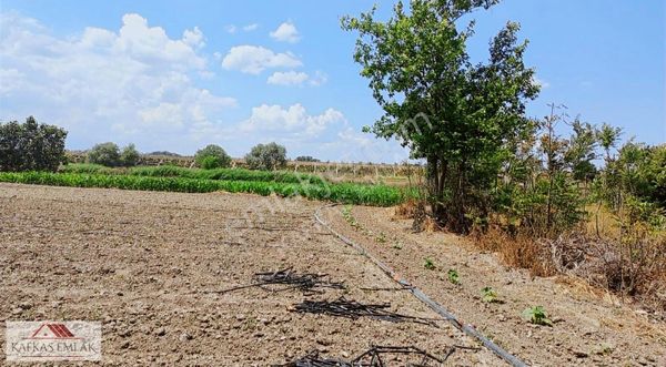 Mustafakemalpaşa Ada Mahallesi 600 M2 Hobi Bahçesi