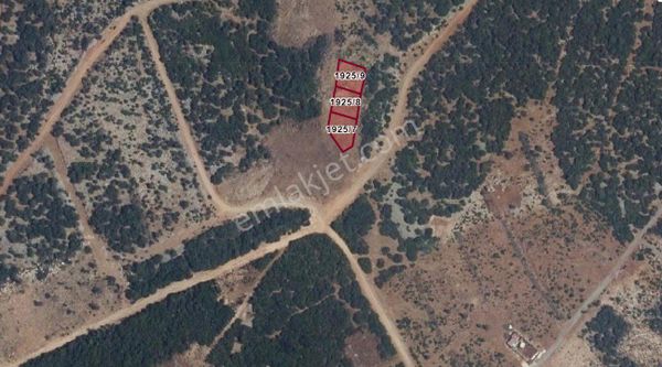 Aydın Dıdım Akyenıköy Mahallesı Bozsekı Mevkıı'nde Satılık Konut İmarlı Arsa