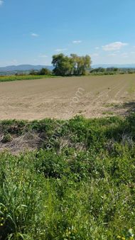 Enes Gayrimenkul'den Doğancı Mahallesinde Satılık Tarla