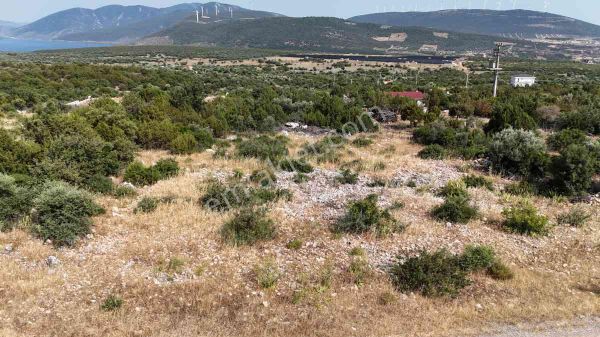 Aydın Dıdım Akyenıköy'de Bozsekı Mevkıı'nde Satılık 700m2 Konut İmarlı Arsa