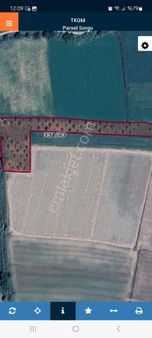 Demir Emlaktan Nazilli Esenköyde Satılık 5.461 M2 Tarla