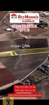 Edirne Keşan İlçesi Yenice Çiftlik Köyünde 12.214.77 Metrekare Satılık Çiftlik