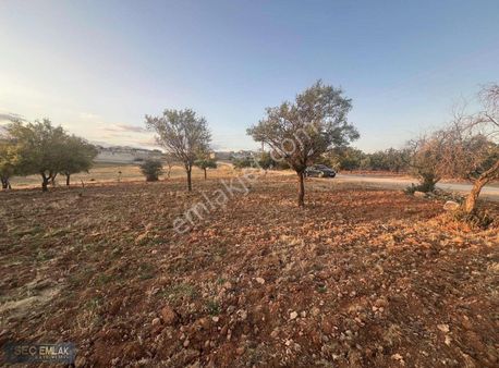 Seç Emlak'tan Oğuzeli-çaybaşı-osb Yanında Tek Tapu Arazi