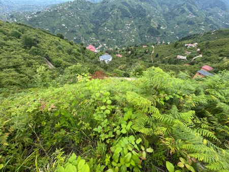 Trabzon Yomra Gürsel Mahallesi 2.344 M2 Satılık Arsa