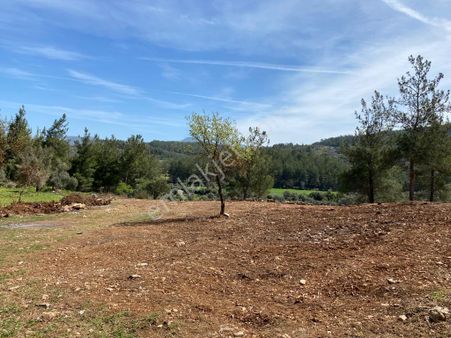 Milas Karacahisarda 2500 M2 Düz Verili Müstakil Arazi Acil Satılık, Teklife Açık