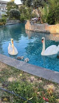 E&c'tema İstanbul 1 De Satılık 1+1 110 M2 Büyük Tip Daire