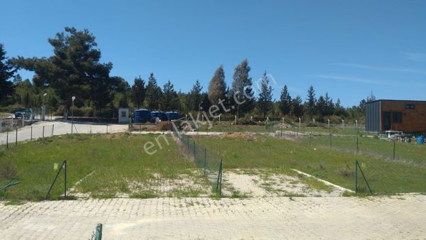 Kuladası Çınarköy Kavaklıdere Mevkisinde Satılık İki Parsel Hobi Bahçesi Bulunmaktadır