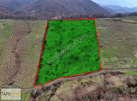 Tapuhaneden Bıçkı Atik Köyünde 17.706 M2 Satılık Arsa !!