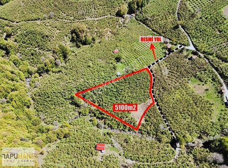 Tapuhane 'den Satılık Arsa