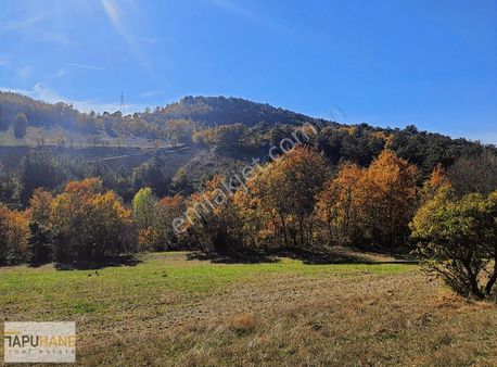 Tapuhane'den Dışdedeler Köyünde 2321m2 Fırsat Uygun Arsa