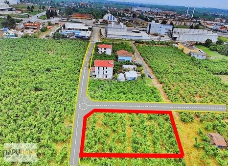 Fiyat Düştü 817 M2 Satılık Arsa, 2 Parsel, 2 Bagımsız Villa Olur
