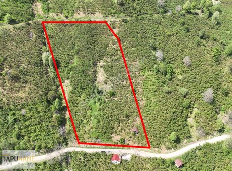 Tapuhane`den Güney Mahallesinde 6,543m2 Satılık Fıkdık Bahçesi