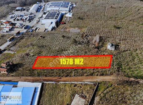 Tapuhane'den Su Fabrikalarının Yanında 1578m2 Arsa