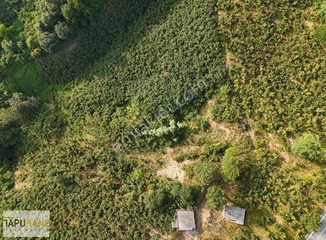 Tapuhane'den Bayraktepe Yolunda 1.560 M2 Satılık Arsa