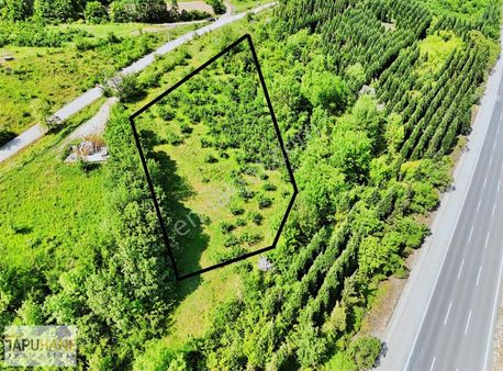 Tapuhane`den İkbaliyede 4,046m2 Satılık Fındık Bahçesi