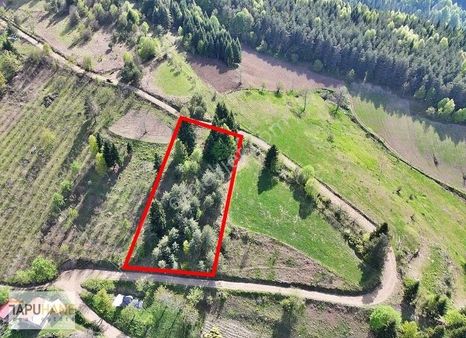 Tapuhane'den Dikmen Mahallesinde 2,449 M2 Satılık Tarla