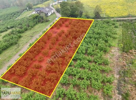 Yeşilvadi Köy Merkezinde Satılık Bir Dönüm İmarlı Arsa